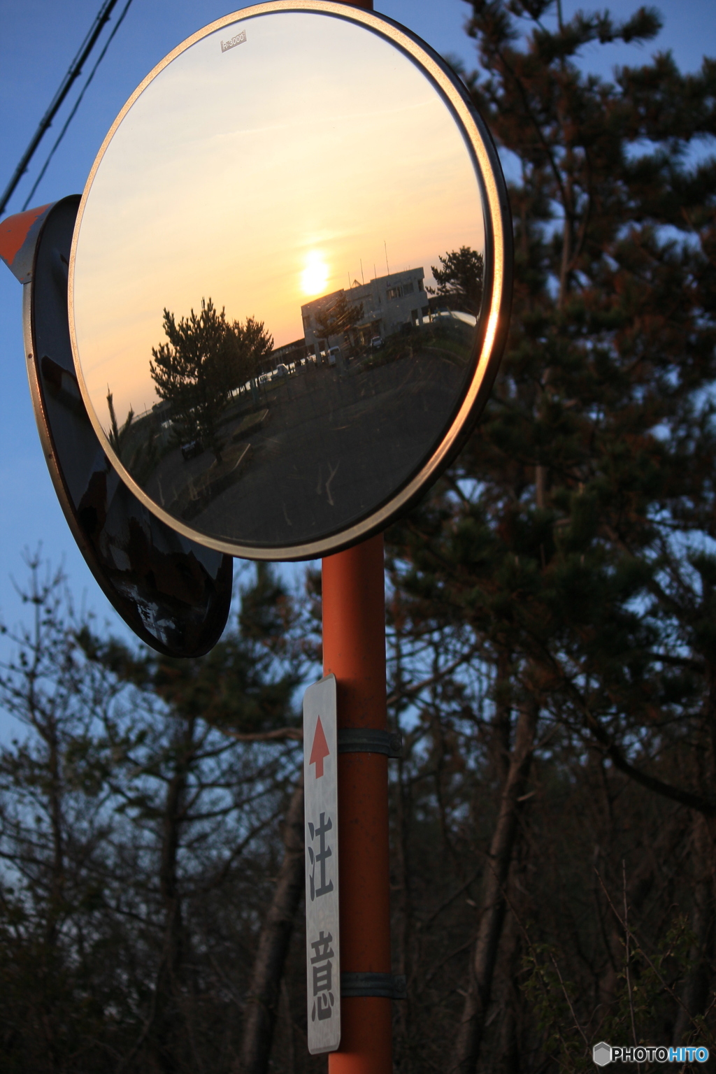 撮って出し(2024-04-23_18-04)-(Canon EOS 60D-5