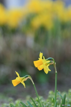 撮って出し-Canon EOS 60D-90.0-41_03_30-8