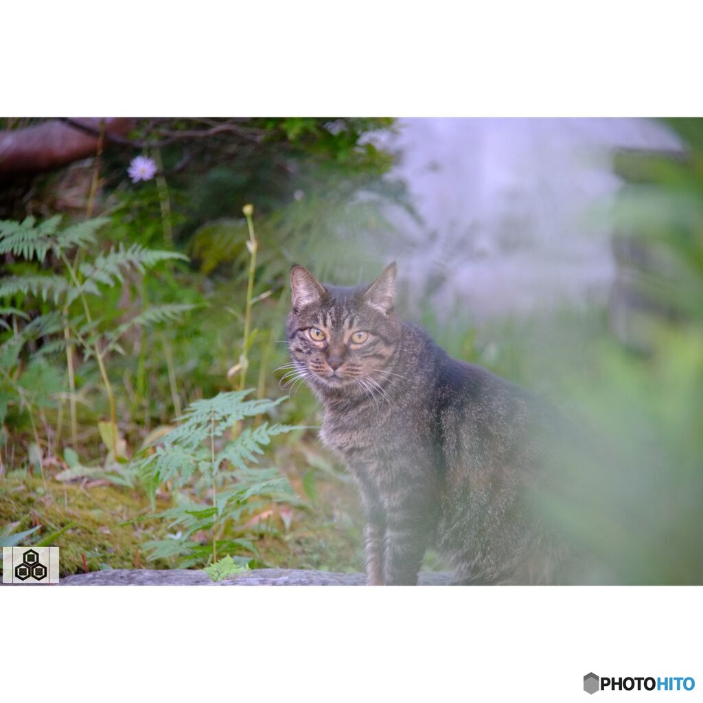 撮って出し(2023-10-13_16-53)-50--X-E1