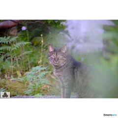 撮って出し(2023-10-13_16-53)-50--X-E1