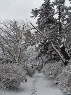 撮って出し(2024-02-22_07-54)-(E-M5-18(OLYMPUS