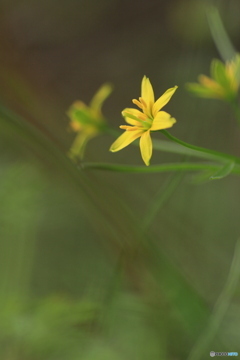 撮って出し(2025-04-06_09-08)-(Canon EOS 60D-9