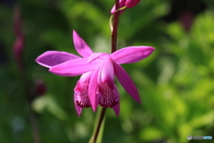 撮って出し-Canon EOS 60D-90.0-23_05_17-18