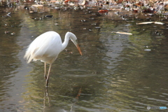 撮って出し(2025-03-03_12-23)-(Canon EOS 60D-2