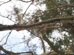 撮って出し-E-M5-150.0-41_02_05-10