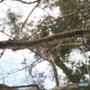 撮って出し-E-M5-150.0-41_02_05-10