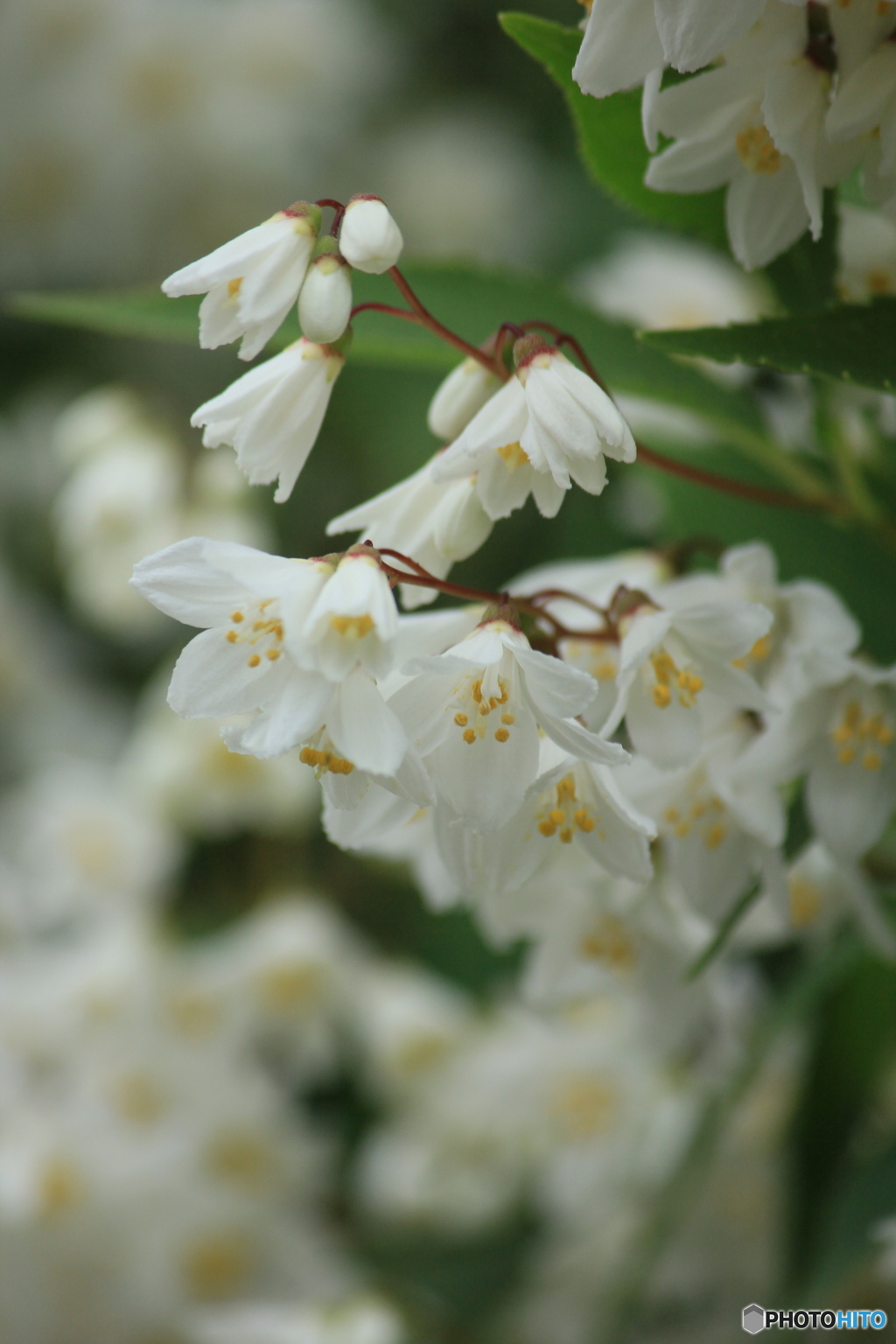 撮って出し(2024-05-12_09-48)-(Canon EOS 60D-2