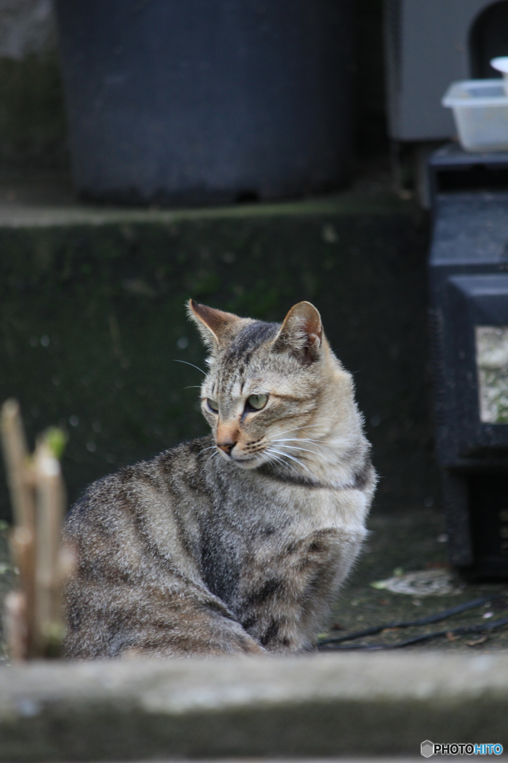 撮って出し-Canon EOS 60D-250.0-22_04_22-0