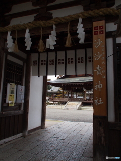 撮って出し(2024-03-06_13-59)-(E-M5-14(OLYMPUS