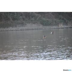 撮って出し(2023-07-06_03-06)--250