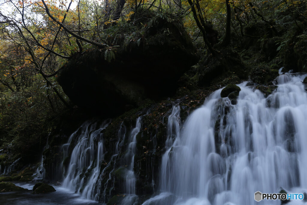 撮って出し(2025-11-04_07-10)-(Canon EOS 6D-28