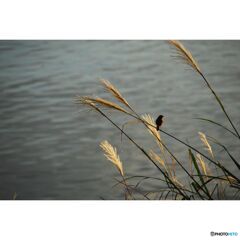 撮って出し(2023-07-06_03-09)--250