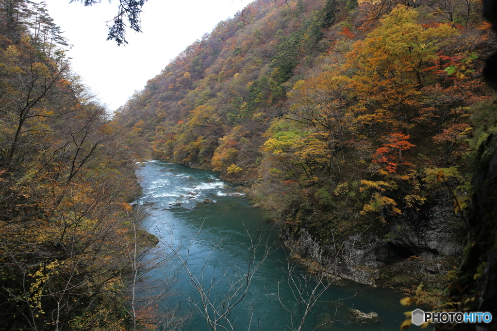 撮って出し(2025-11-07_12-35)-(Canon EOS 6D-24