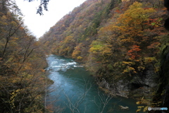 撮って出し(2025-11-07_12-35)-(Canon EOS 6D-24