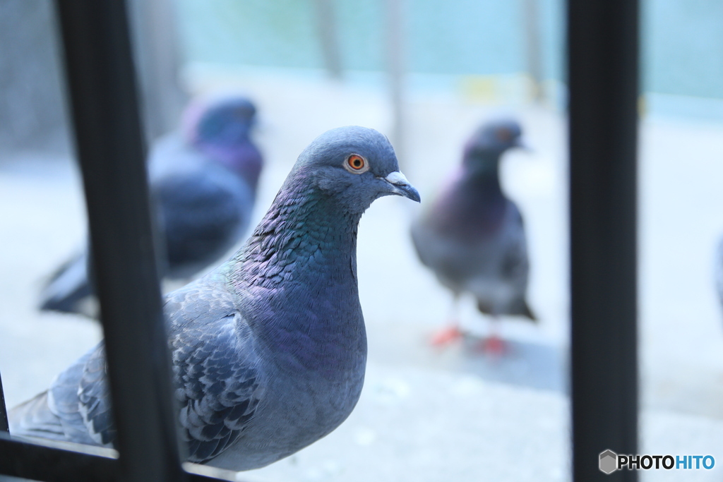 撮って出し(2024-03-04_12-53)-(Canon EOS 6D-13