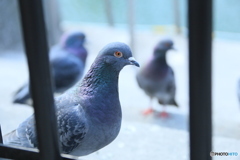 撮って出し(2024-03-04_12-53)-(Canon EOS 6D-13