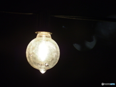 撮って出し(2025-04-18_18-40)-(E-M5-0())