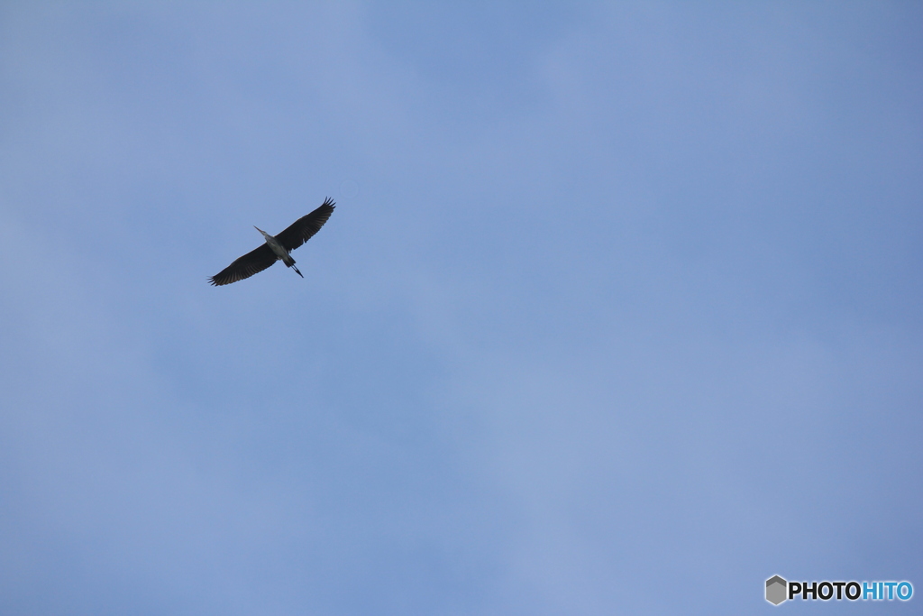 撮って出し(2025-04-19_09-49)-(Canon EOS 60D-2