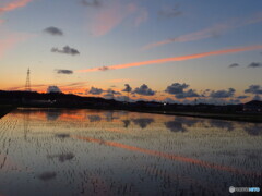 撮って出し-Canon PowerShot SX280 HS