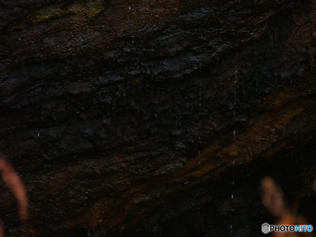 撮って出し-E-M5-150.0-23_10_15_PA155736-0