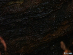 撮って出し-E-M5-150.0-23_10_15_PA155736-0