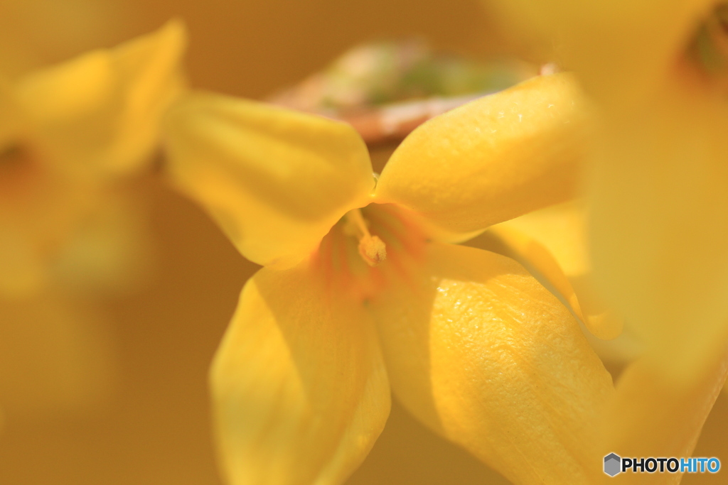 撮って出し-Canon EOS 60D-90.0-41_04_04-3