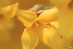 撮って出し-Canon EOS 60D-90.0-41_04_04-3