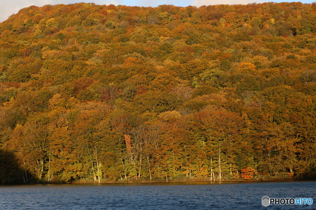 撮って出し(2025-10-27_06-31)-(Canon EOS 6D-90