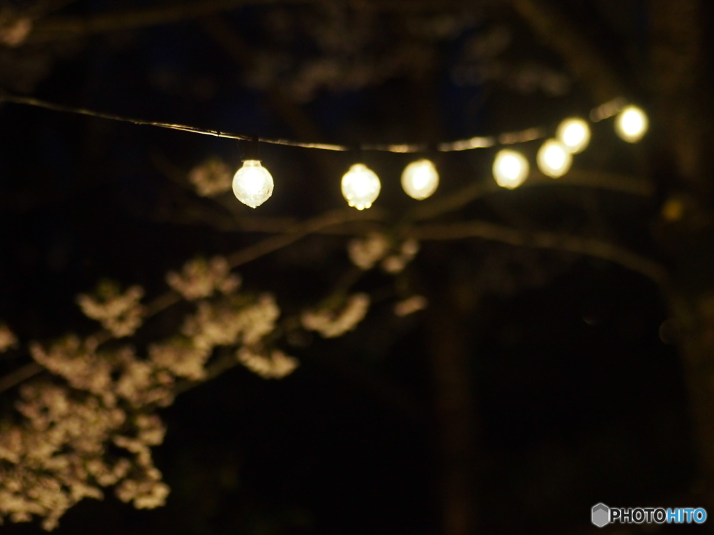 撮って出し(2025-04-18_18-39)-(E-M5-0())