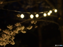 撮って出し(2025-04-18_18-39)-(E-M5-0())