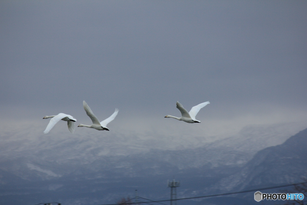 撮って出し(2024-12-09_08-07)-(Canon EOS 60D-2