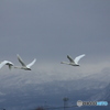 撮って出し(2024-12-09_08-07)-(Canon EOS 60D-2