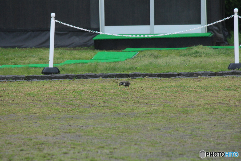 撮って出し(2025-05-11_08-08)-(Canon EOS 60D-2