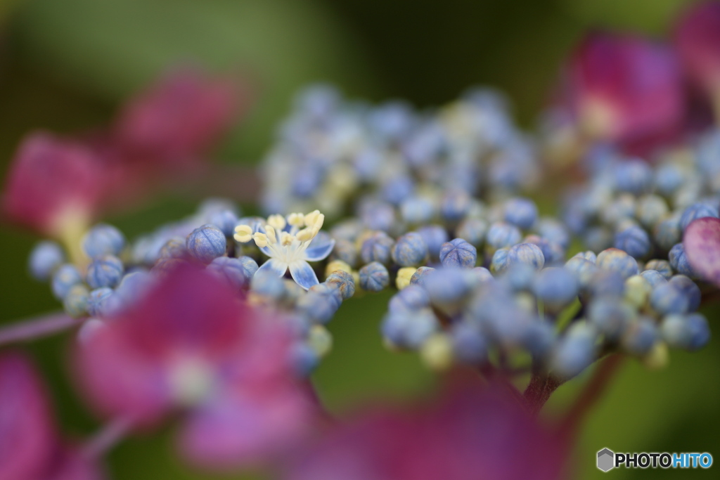 撮って出し(2025-06-30_16-23)-(Canon EOS 6D-90