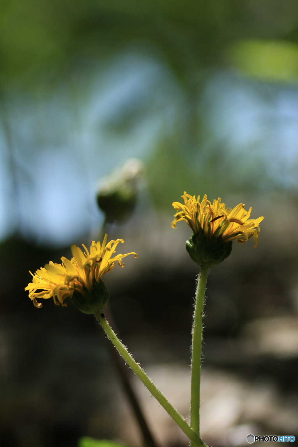 撮って出し-Canon EOS 60D-90.0-23_05_11-7