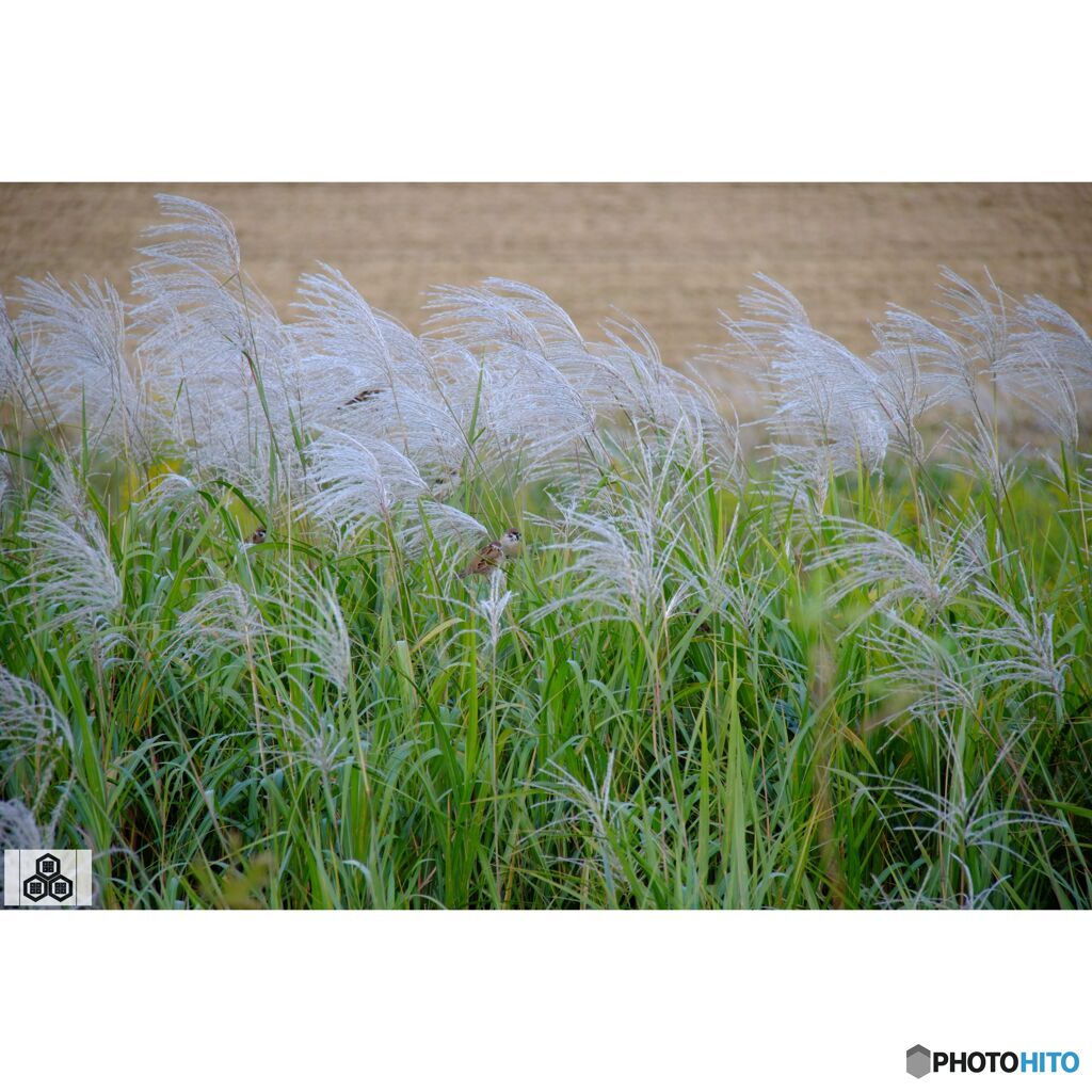 撮って出し(2023-10-12_15-28)-50--X-E1