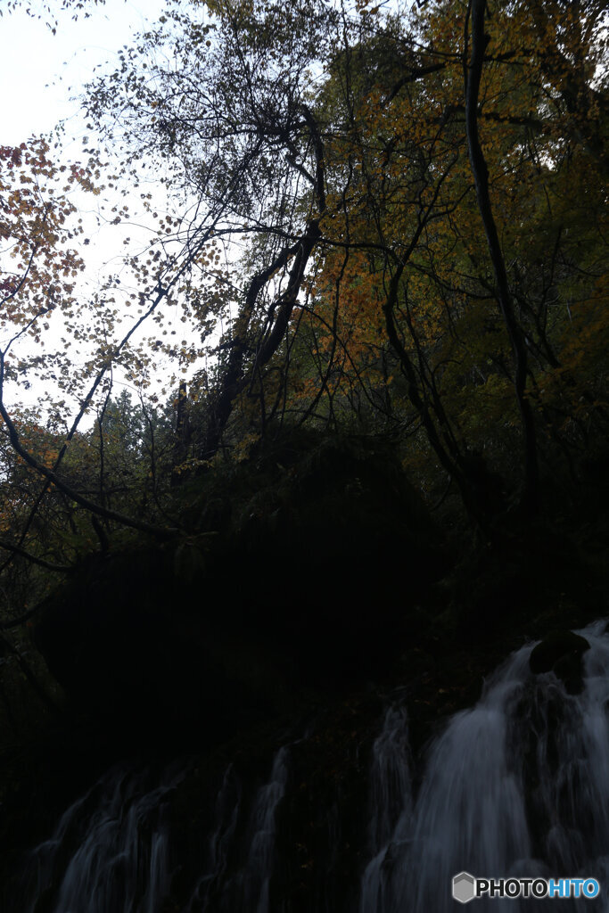 撮って出し(2025-11-04_07-07)-(Canon EOS 6D-28