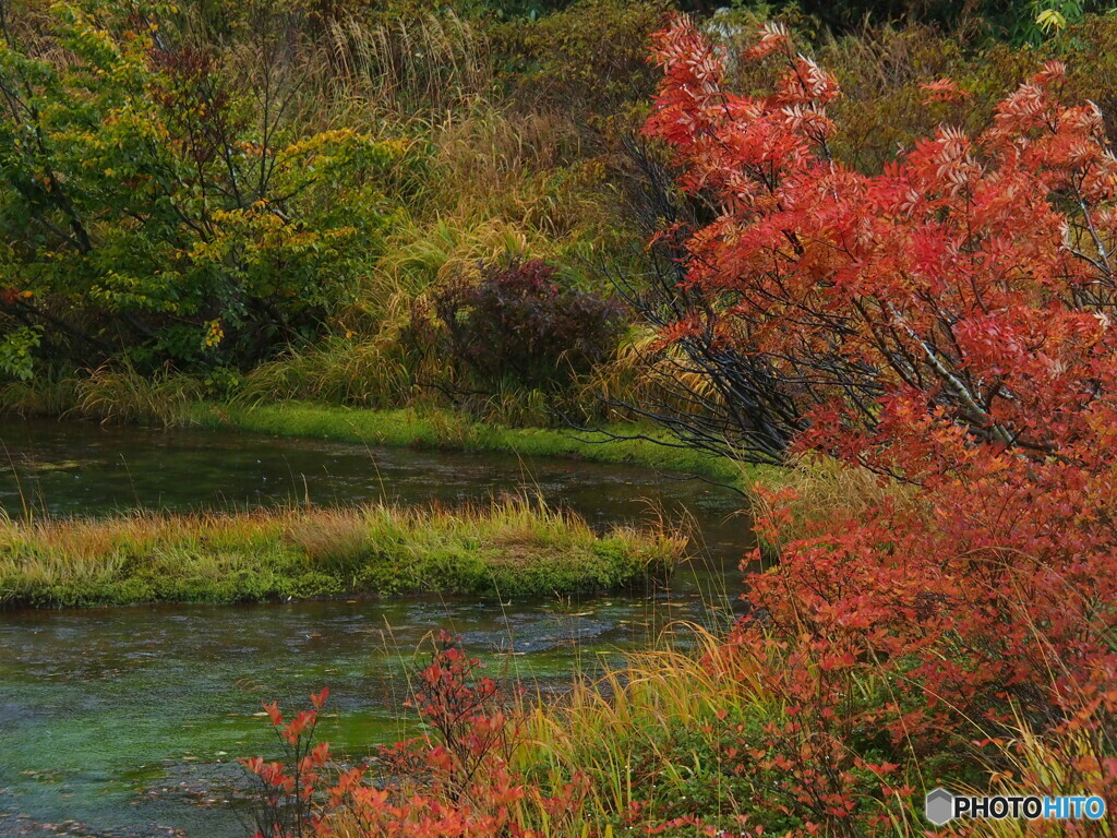 撮って出し-E-M5-56.0-23_10_15_PA155717-0