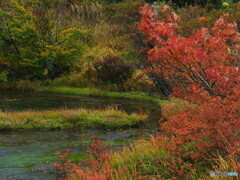 撮って出し-E-M5-56.0-23_10_15_PA155717-0