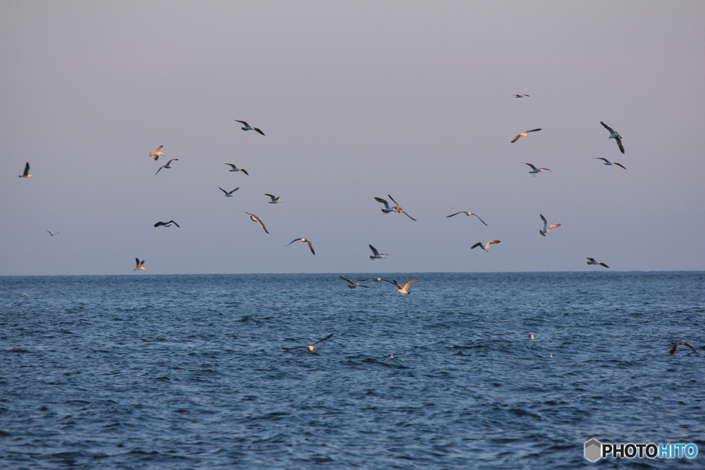 撮って出し-Canon EOS 60D-220.0-23_06_06-0