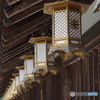 撮って出し(2024-03-06_14-26)-(E-M5-39(OLYMPUS