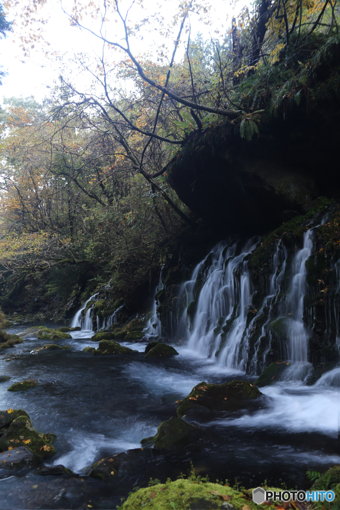 撮って出し(2025-11-04_07-06)-(Canon EOS 6D-28