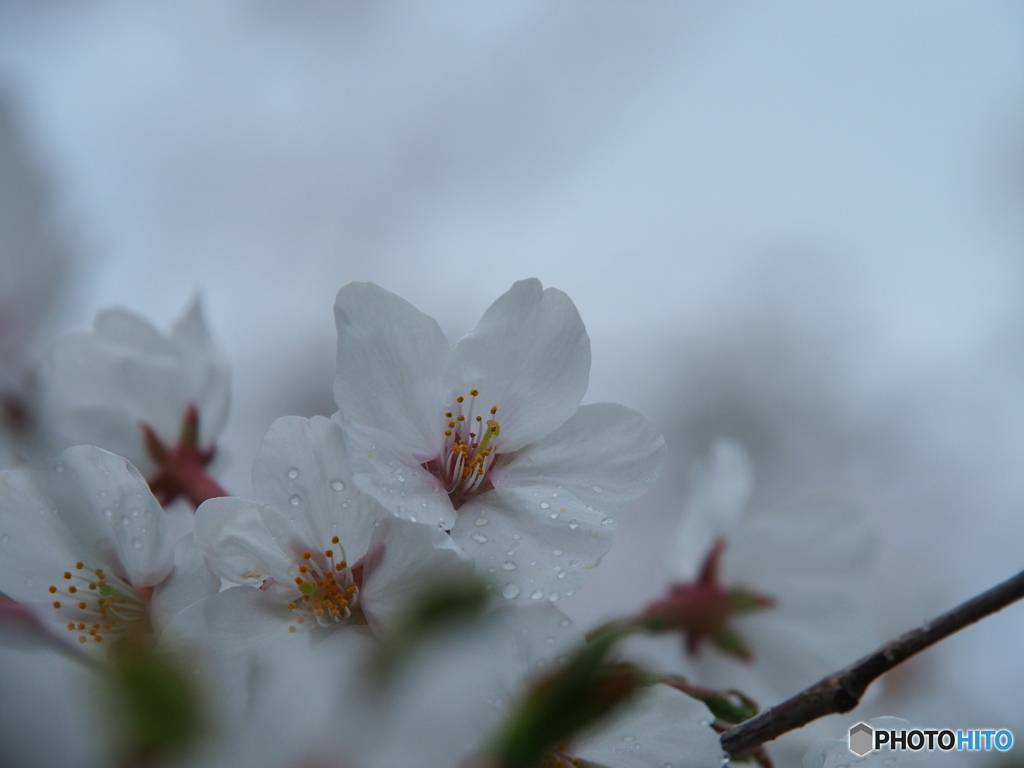 撮って出し-E-M5-135.0-41_04_06-1