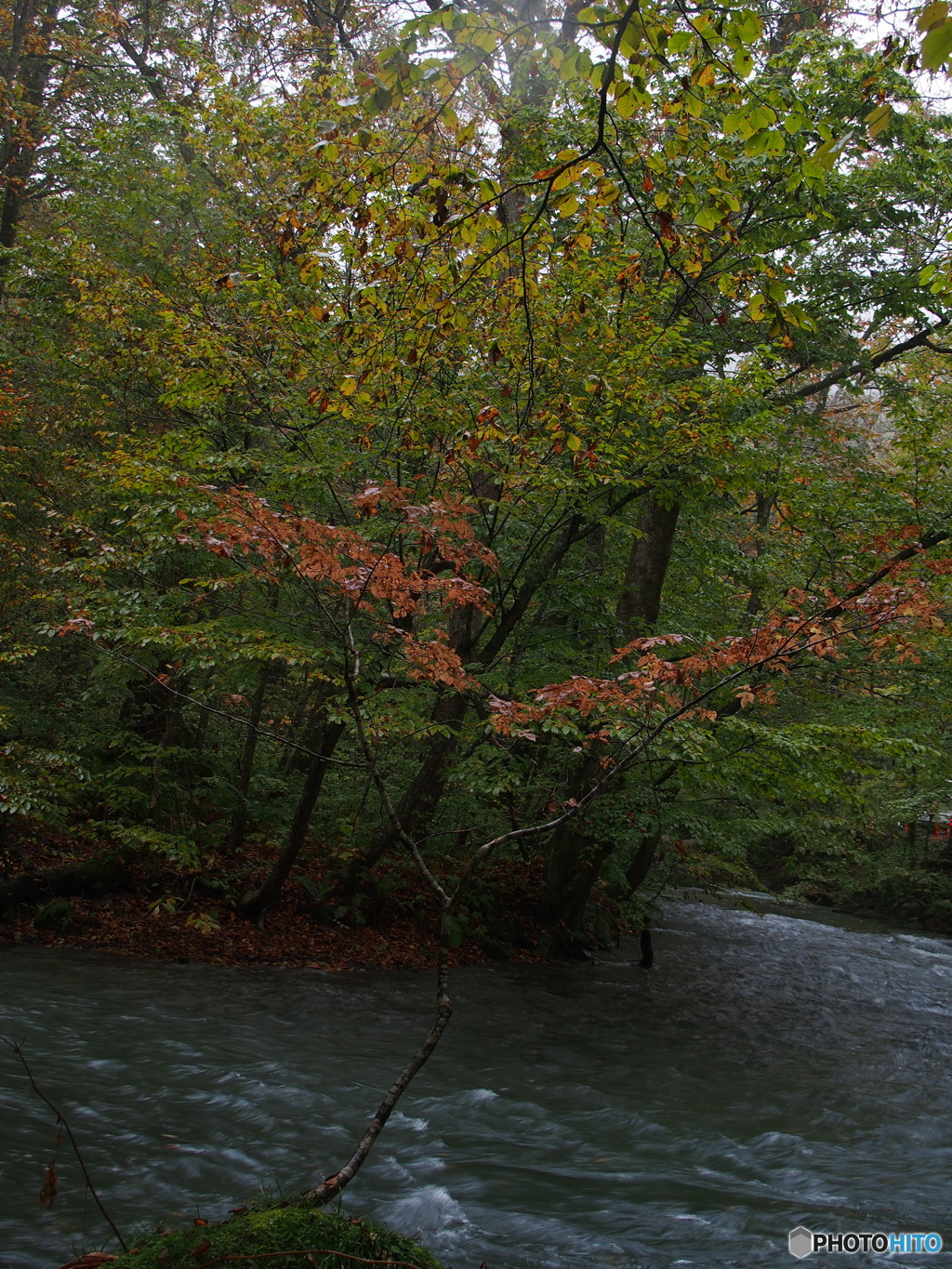 撮って出し(2025-10-26_15-10)-(E-M5-20(OLYMPUS