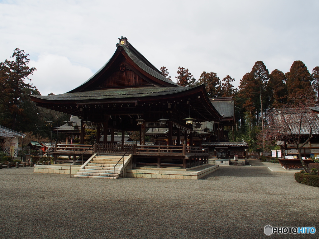 撮って出し(2024-03-06_14-00)-(E-M5-14(OLYMPUS