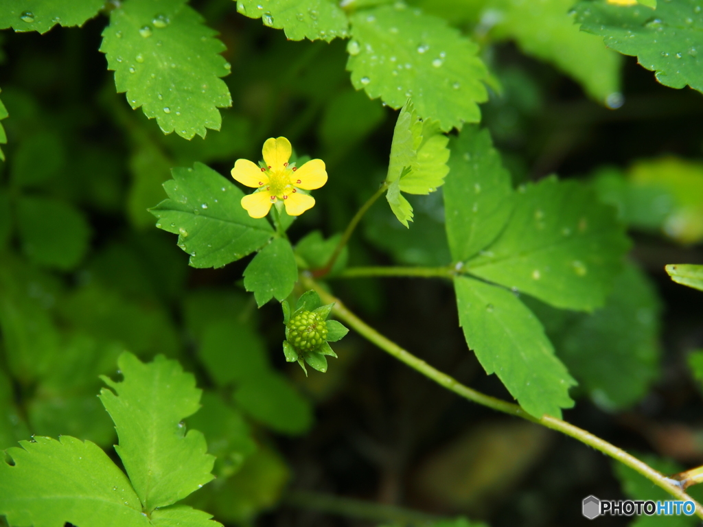 撮って出し-E-M5-150.0-23_06_12-4