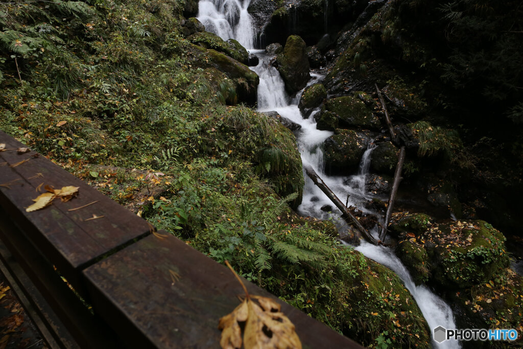 撮って出し(2025-11-07_13-07)-(Canon EOS 6D-24