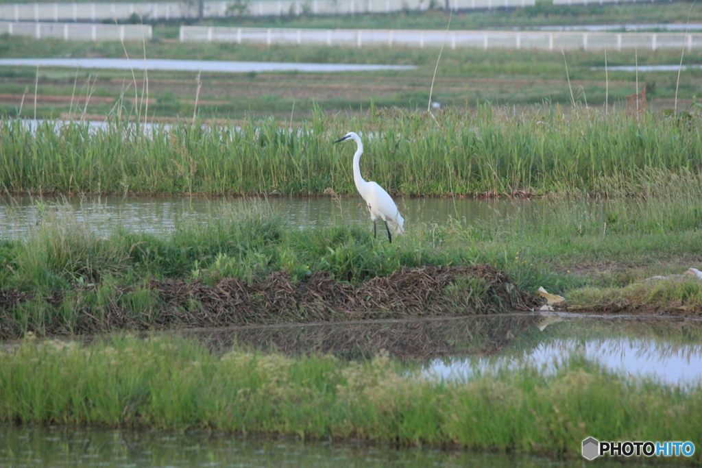 撮って出し-Canon EOS 60D-250.0-23_05_17-4