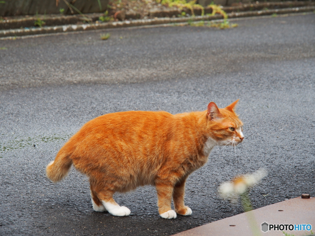 撮って出し-E-M5-90.0-23_06_23-0