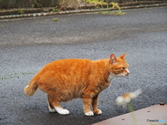 撮って出し-E-M5-90.0-23_06_23-0